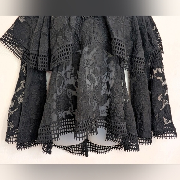 Thurley Whimsigoth Dark Fairy Witchy Feminine Dark Academia Romantic Lace Top 4 - Picture 4 of 10